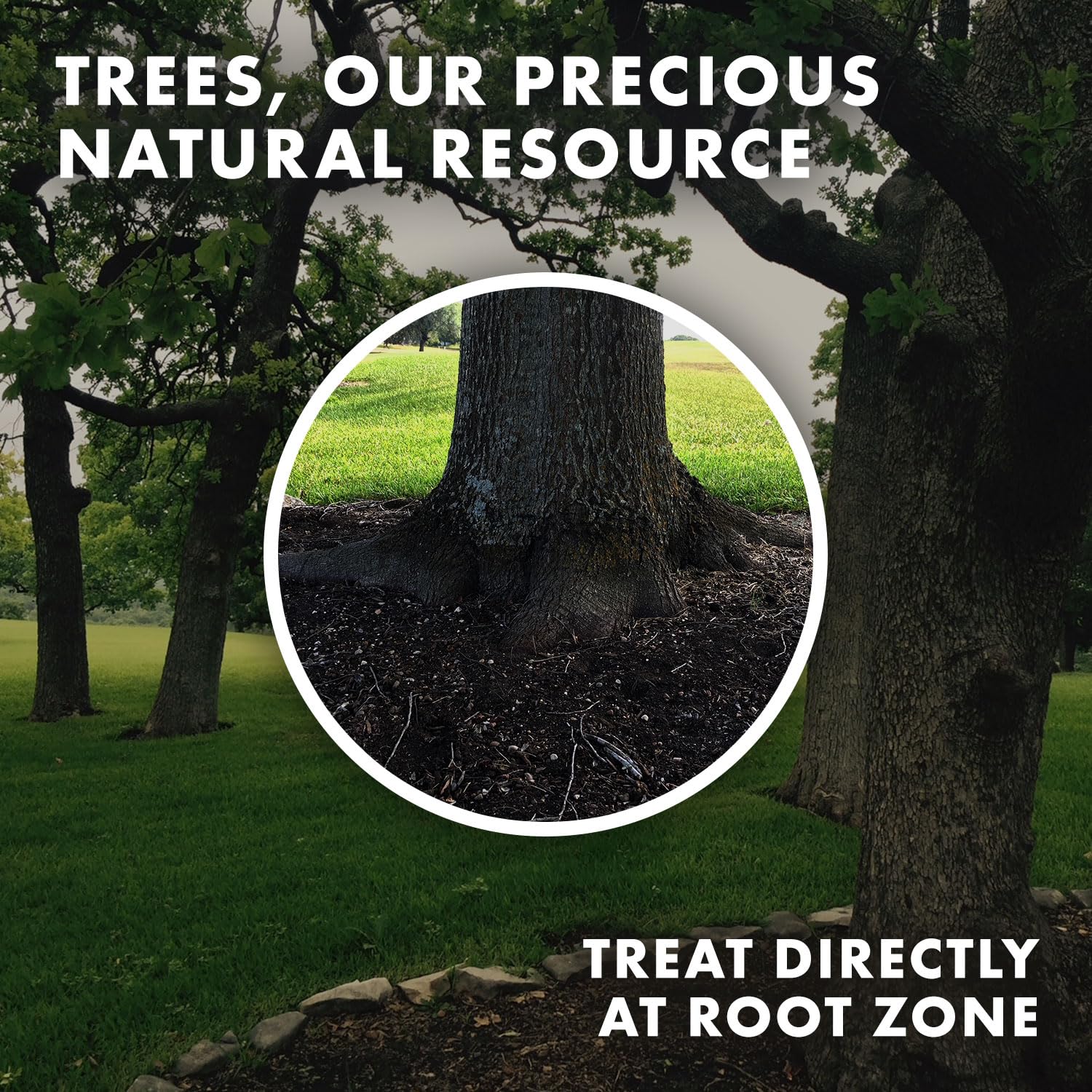 Wildroot Organic NOP certification seal signals trusted organic status.