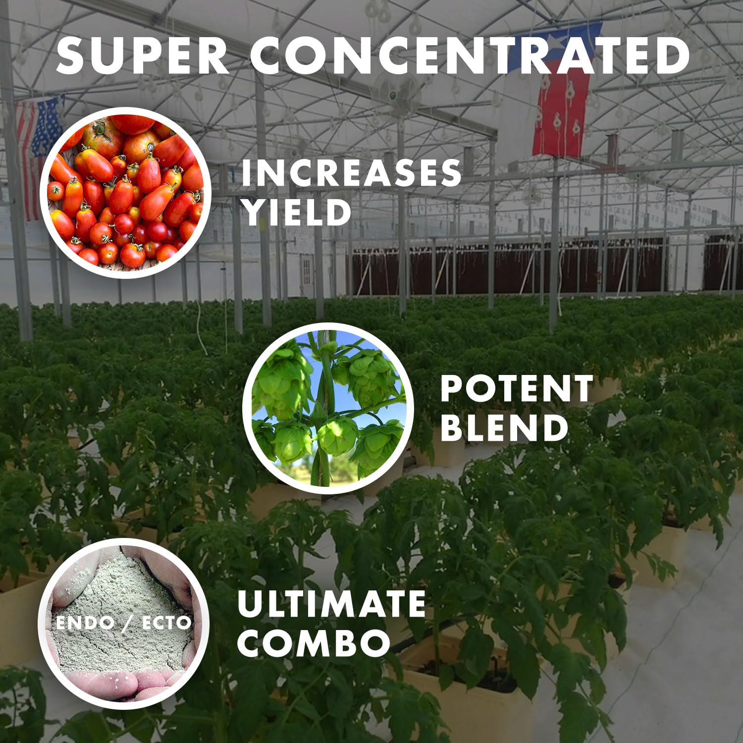 Wildroot Organic mycorrhizae supports enhanced root growth on plant roots.