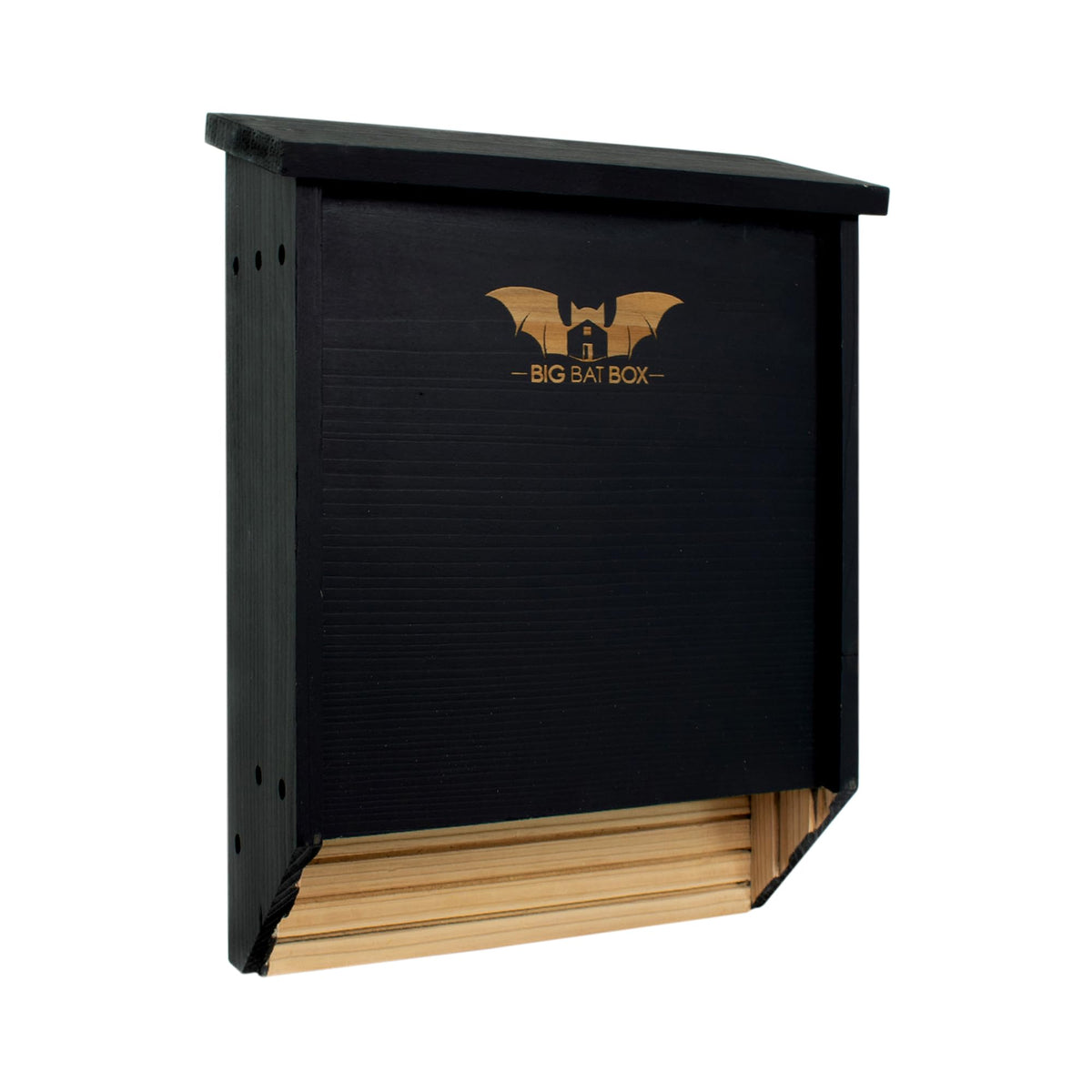 WildYard BIGBATBOX bat house exterior with two-chamber design ideal for roosting