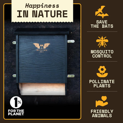 WildYard BIGBATBOX cedar bat house exterior close-up protecting roosting bats without interior paint