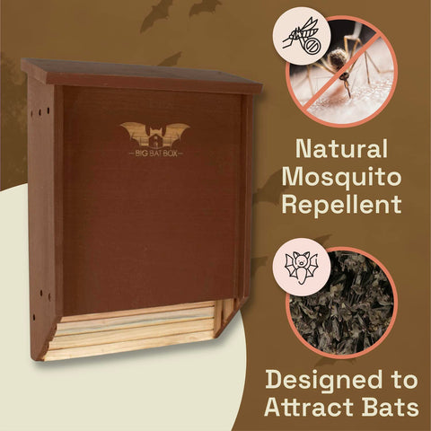 WildYard BIGBATBOX cedar construction highlights durability in weather