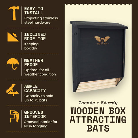 WildYard BIGBATBOX mounted on a tree demonstrates weather-ready cedar construction