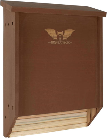 WildYard BIGBATBOX two-chamber bat house outdoors demonstrates roosting space for bats