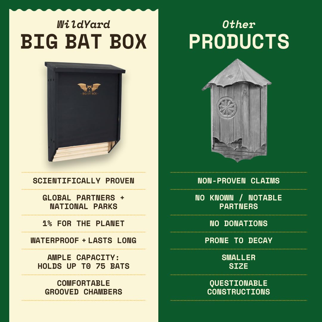 WildYard BIGBATBOX two-chamber design offers ample roosting space in backyard