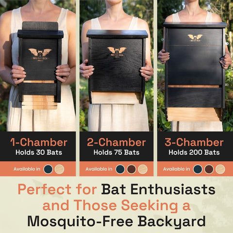 WildYard BIGBATBOX two-chamber roosting space supports larger bat groups