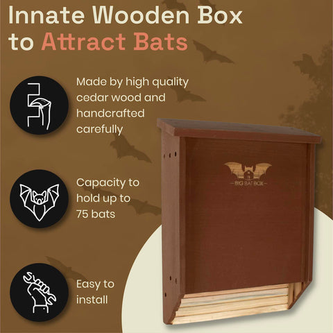 WildYard BIGBATBOX weather-resistant quarters withstand snow and rain