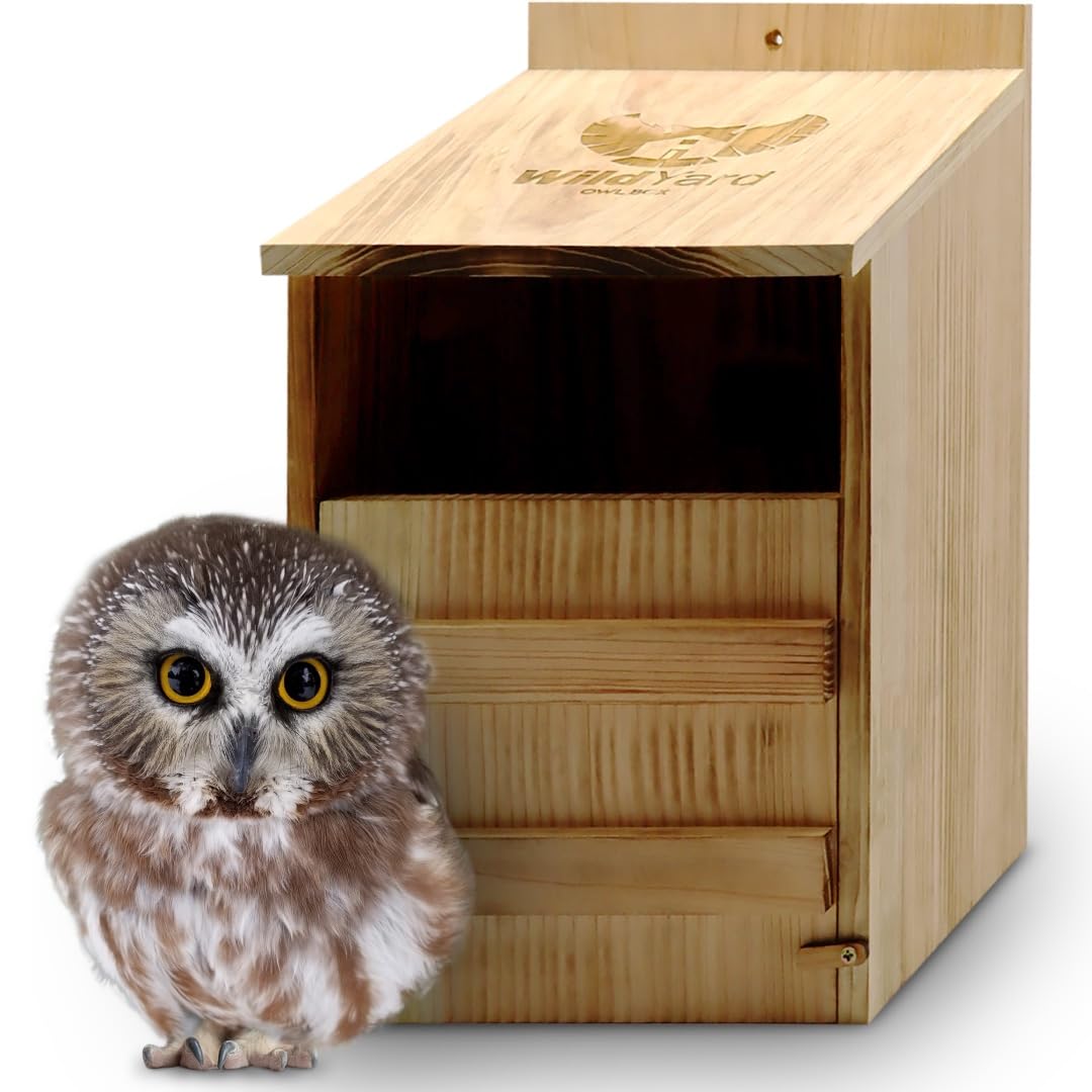 WildYard cedar barn owl nesting box with durable cedar construction for outdoor nesting