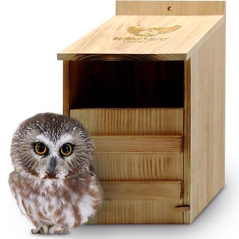 WildYard cedar barn owl nesting box with durable cedar construction for outdoor nesting
