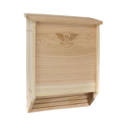 WildYard Cedar Bat House two-chamber mounted outdoors to attract a sizable bat colony