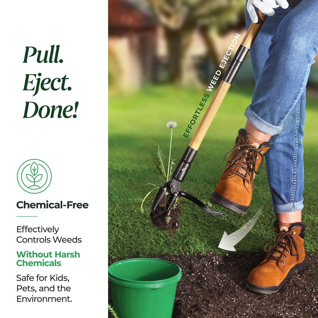 Durable stainless steel weed puller ready for tough soil