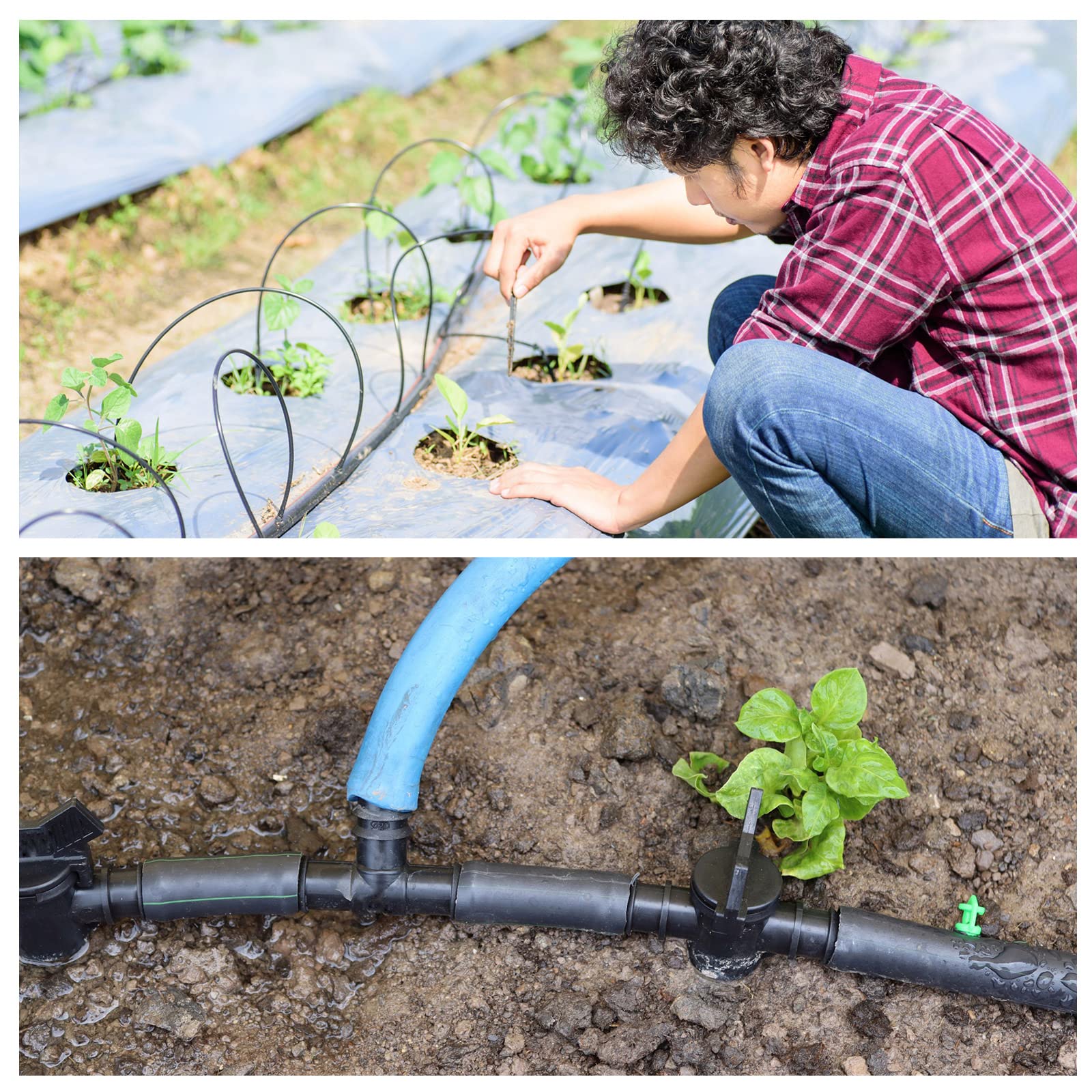 Willbond tubing suitable for green roofs and gravity fed irrigation layouts