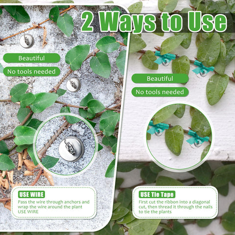 WILLBOND metal wire offers secure vine support