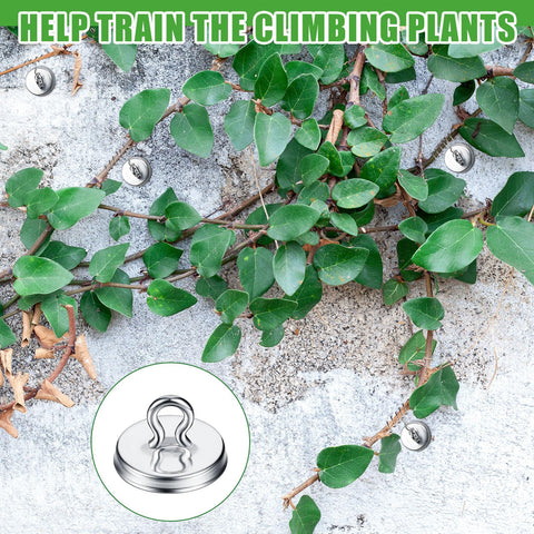 WILLBOND weather-friendly aluminum trellis anchors resist rain and sun