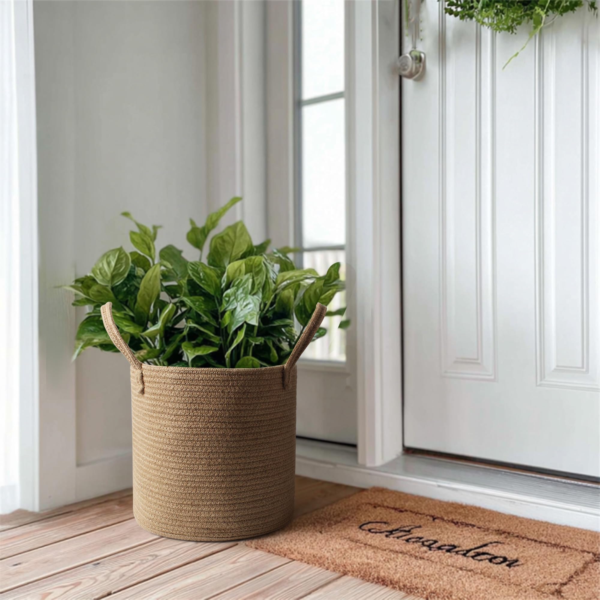 Willitat plant cover in living room, transforming a planter into a warm boho display.