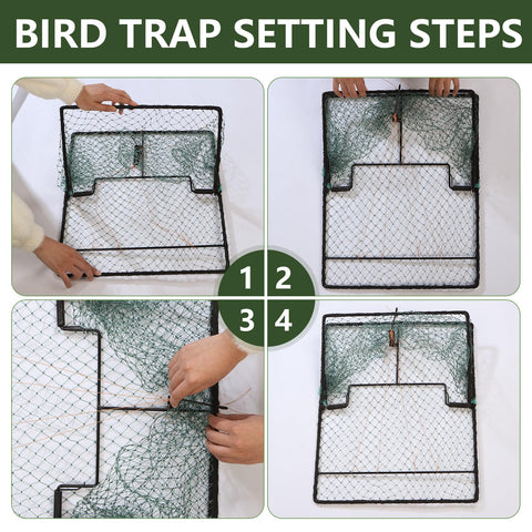 WillMesh humane pigeon trap versatile for quail and turkey handling