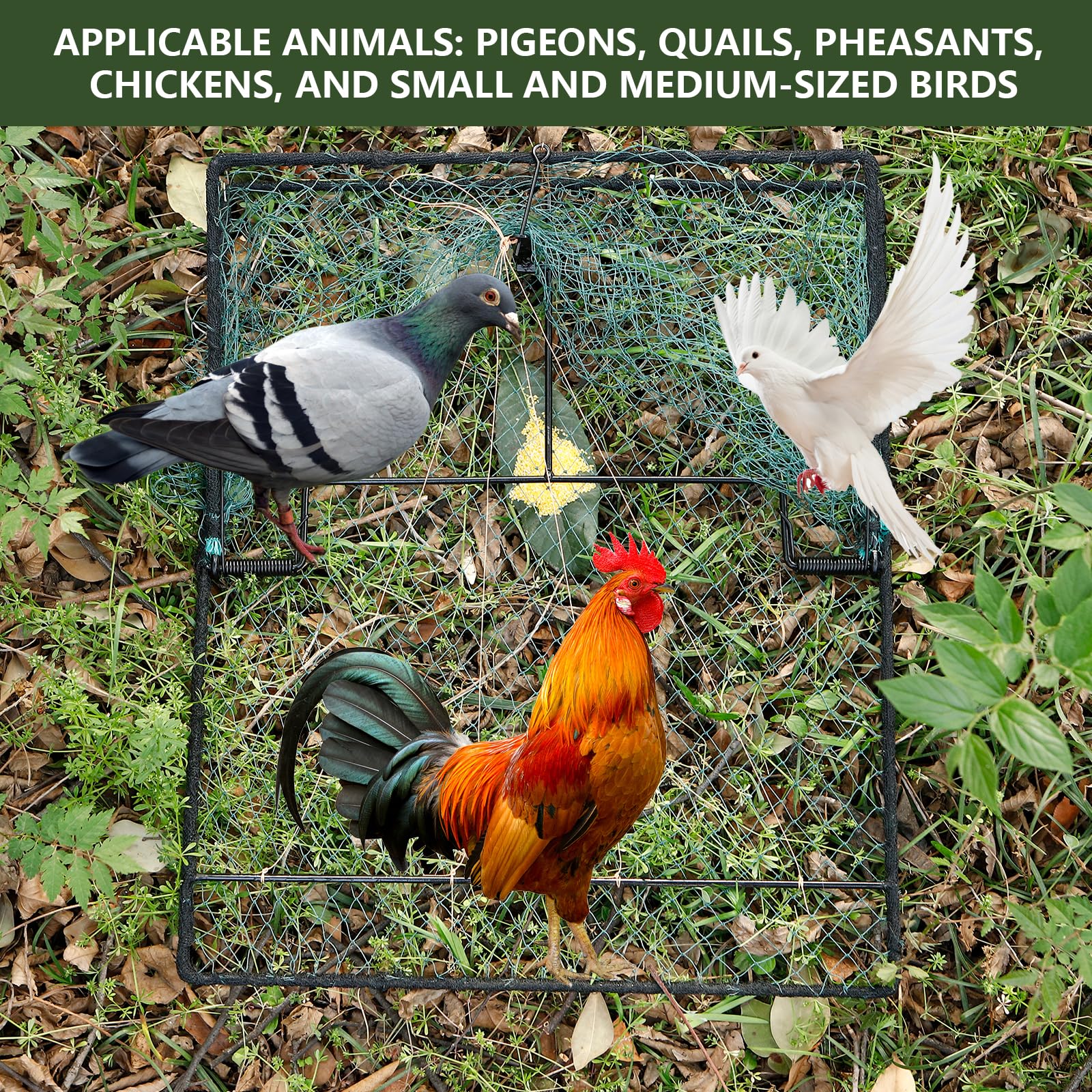 WillMesh humane pigeon trap easy install quick setup for capture readiness