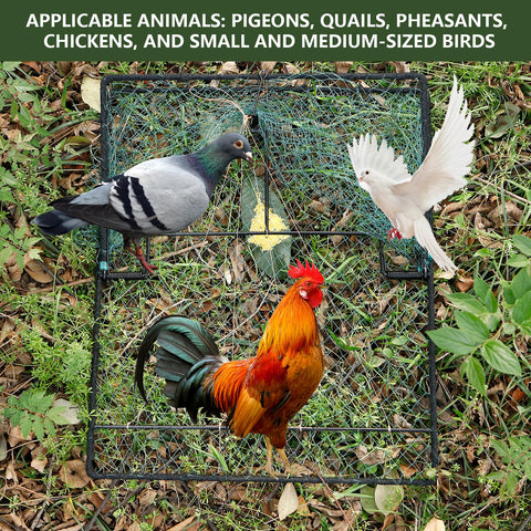 WillMesh humane pigeon trap easy install quick setup for capture readiness