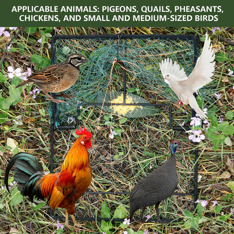 WillMesh humane pigeon trap easy-install design for fast setup