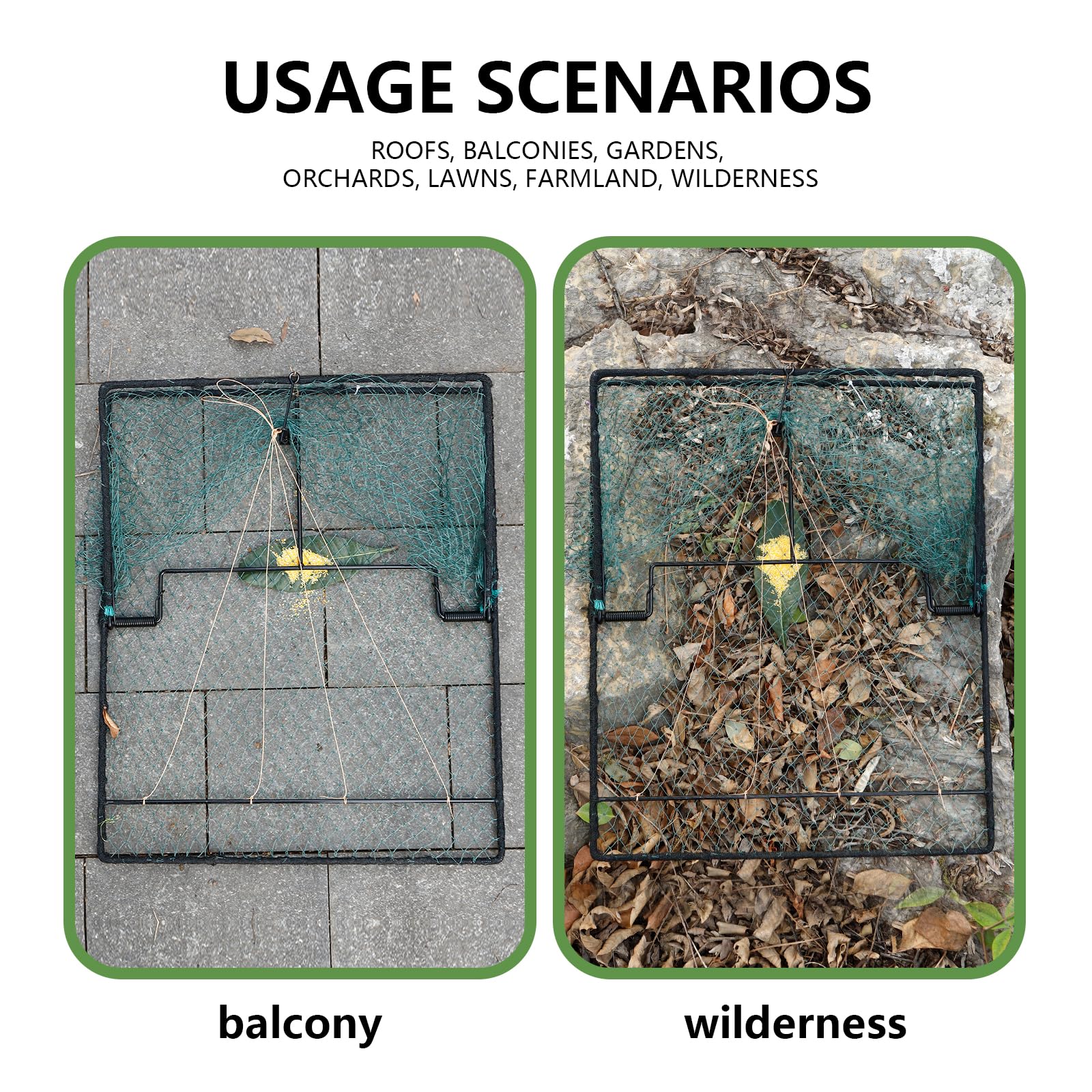 WillMesh humane pigeon trap in-use catching birds safely without harm