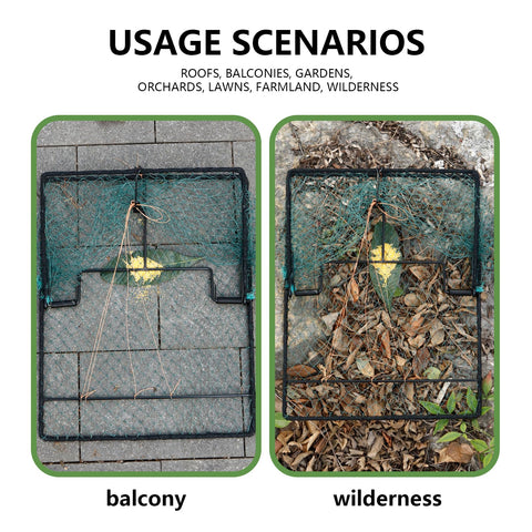 WillMesh humane pigeon trap spacious capture area reduces bird escapes