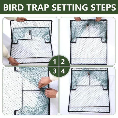 WillMesh humane pigeon trap stored flat space saver when not in use