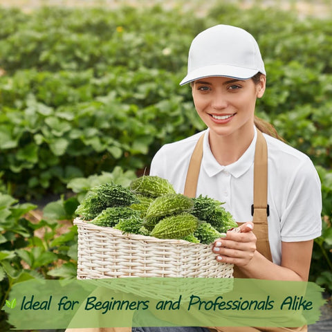 Wily Fox seeds offer authentic flavor for backyard cooking and herbal remedies.