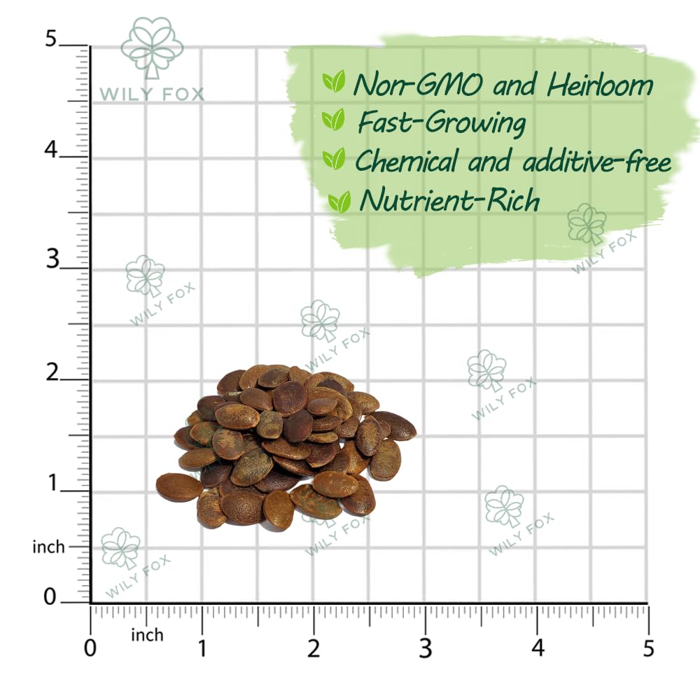 Wily Fox backyard orchard visuals featuring persimmon seeds for long-term fruit trees.