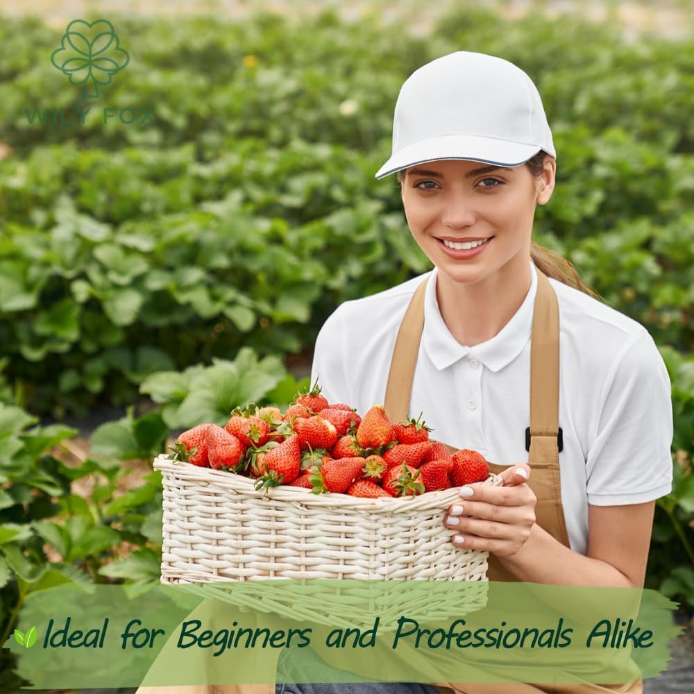 Wily Fox heirloom seeds offer a vibrant harvest in greenhouses.