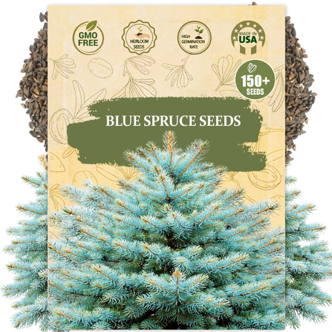 Wily Fox blue spruce seeds pack cover showing heirloom strength for yard landscaping.