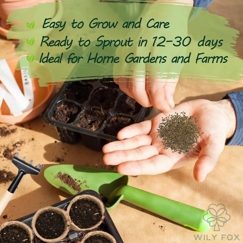 Wily Fox cover crop seeds for fall planting promote fast, attractive growth.