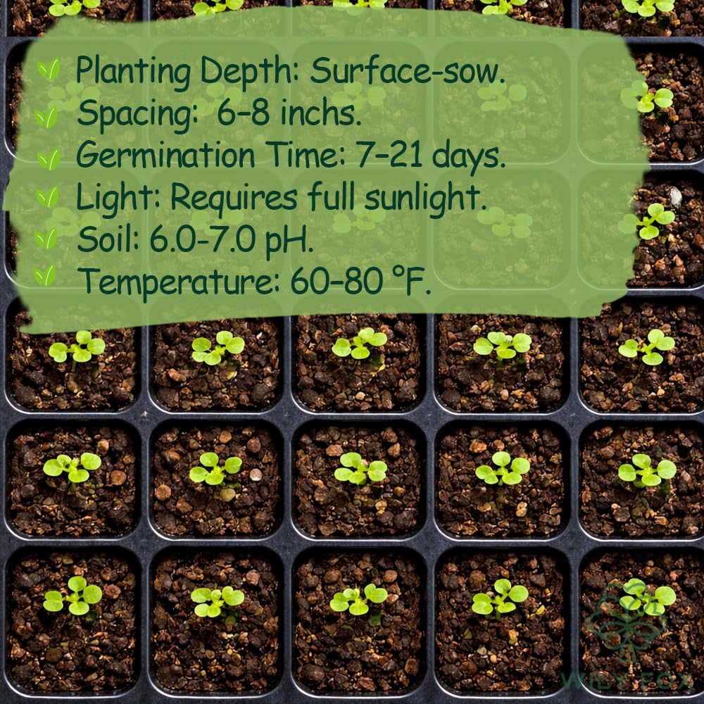 Wily Fox Crab Claw seeds garden setup in a pot or bed