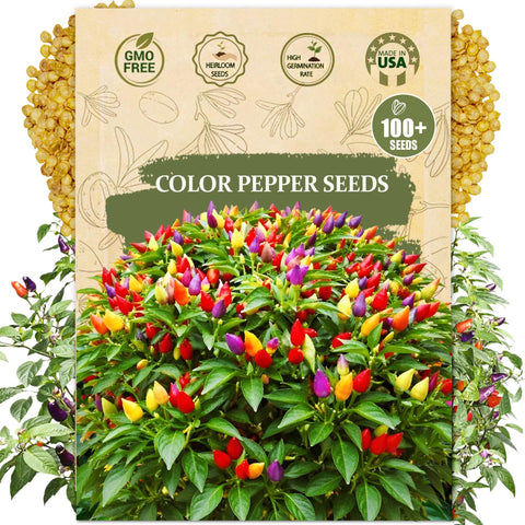 Wily Fox five-color pepper seeds packet ready for planting and gifting