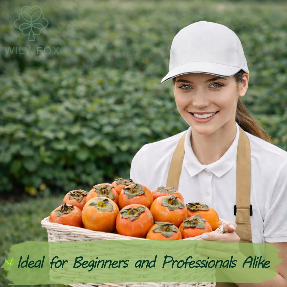 Wily Fox persimmon seeds with growing instructions included for healthy early growth.