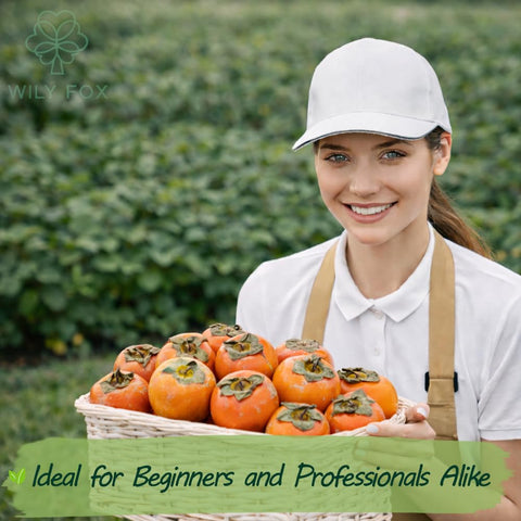 Wily Fox persimmon seeds with growing instructions included for healthy early growth.