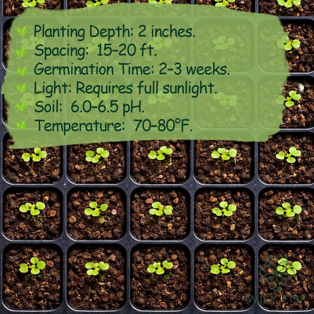 Wily Fox heirloom seeds gift for gardeners and seed starters.