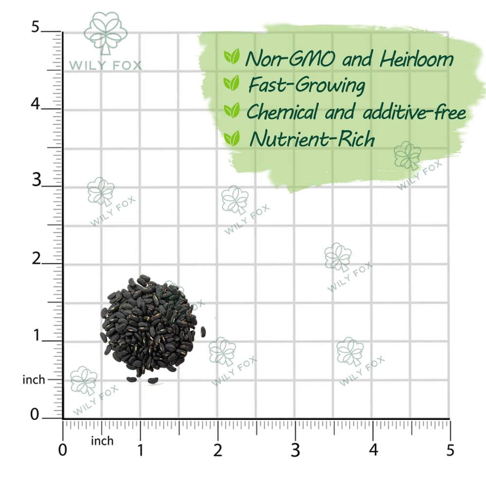 Wily Fox non-GMO seeds showing strong germination for reliable sprouts