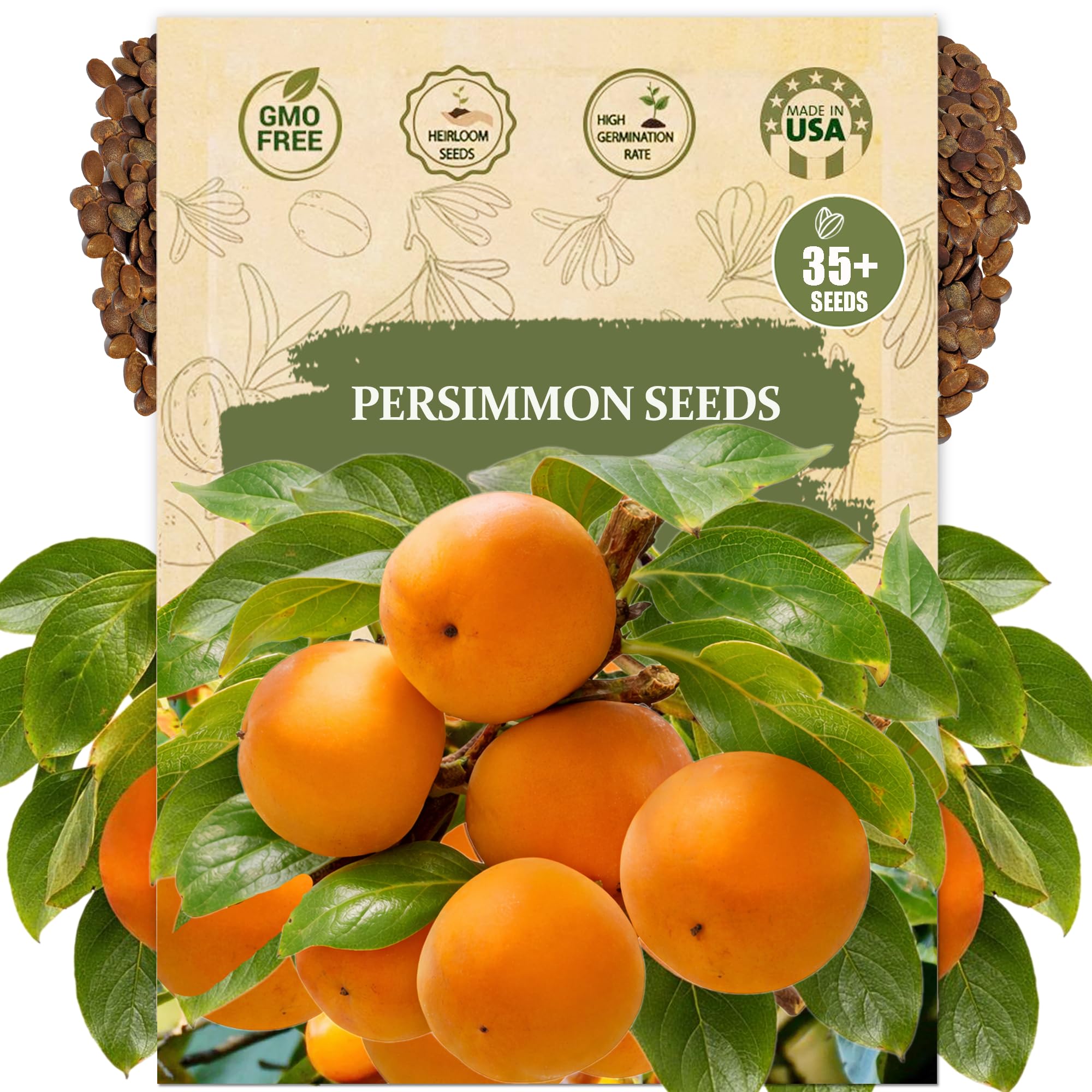 Wily Fox persimmon seeds for planting, home garden starter with guidance.