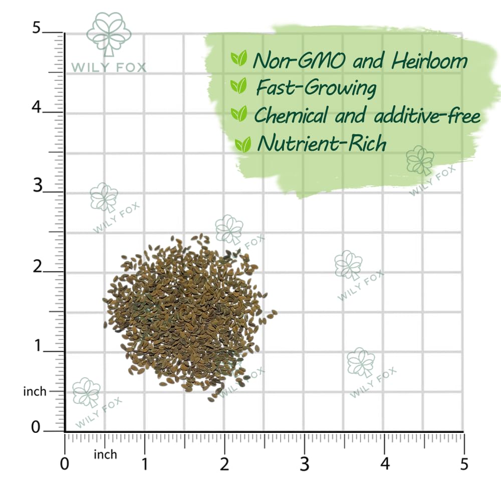 Wily Fox phacelia seeds attract pollinators in borders and wildflower mixes.