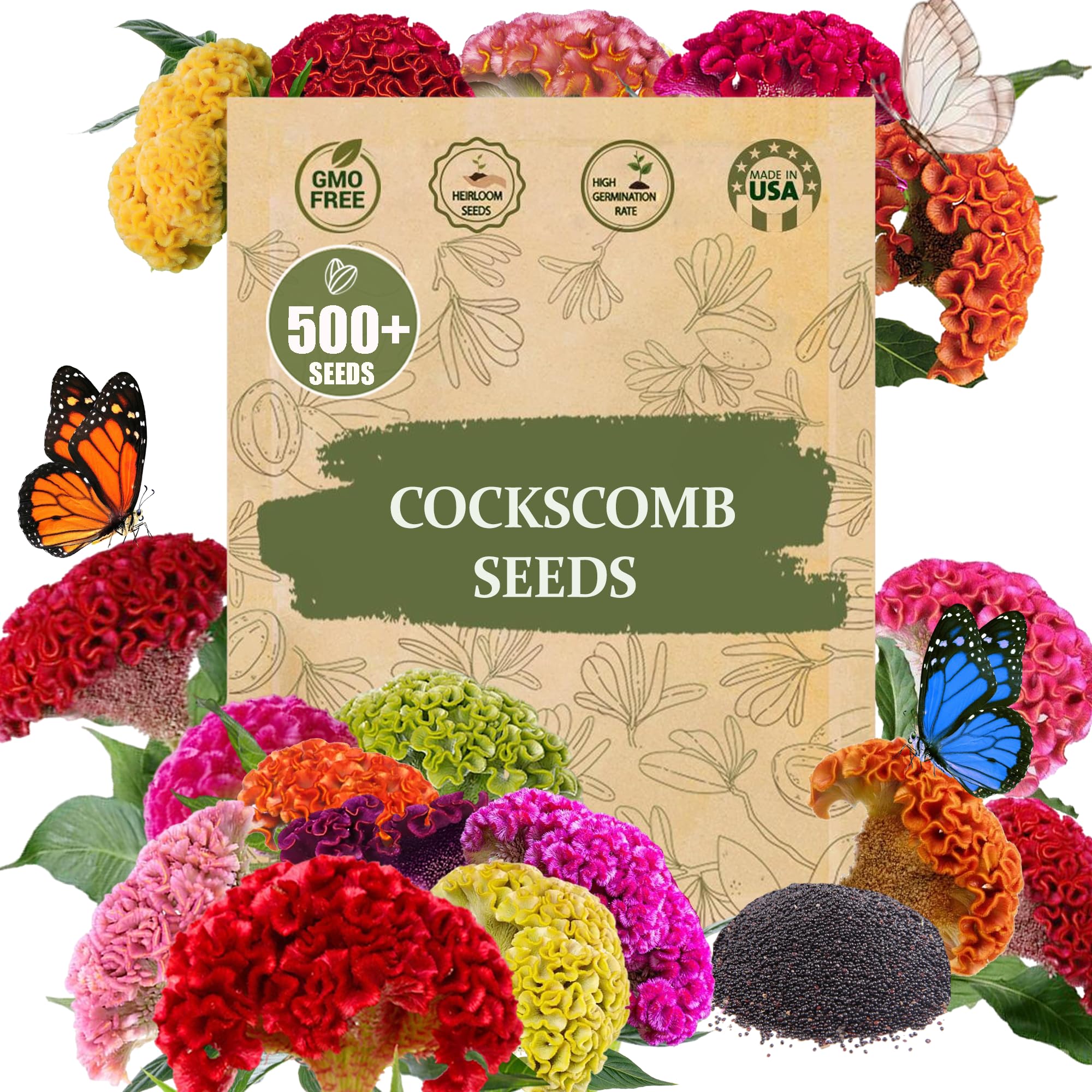Wily Fox Premium Cockscomb Seeds red bloom for vibrant garden color and long-lasting interest.