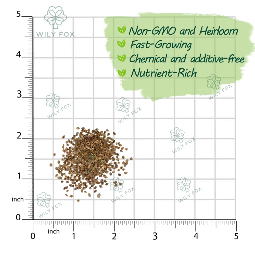Wily Fox Premium Culantro Seeds bag close-up highlighting non-GMO heirloom quality.