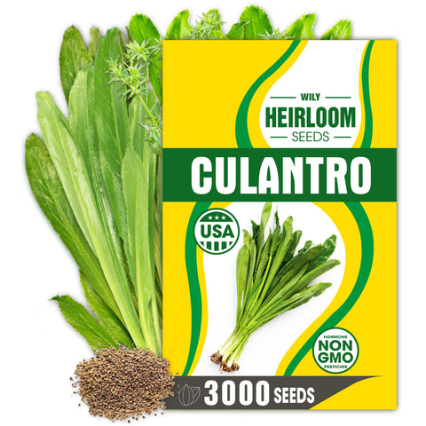 Wily Fox Premium Culantro Seeds pack shot showing abundant supply for steady harvests.