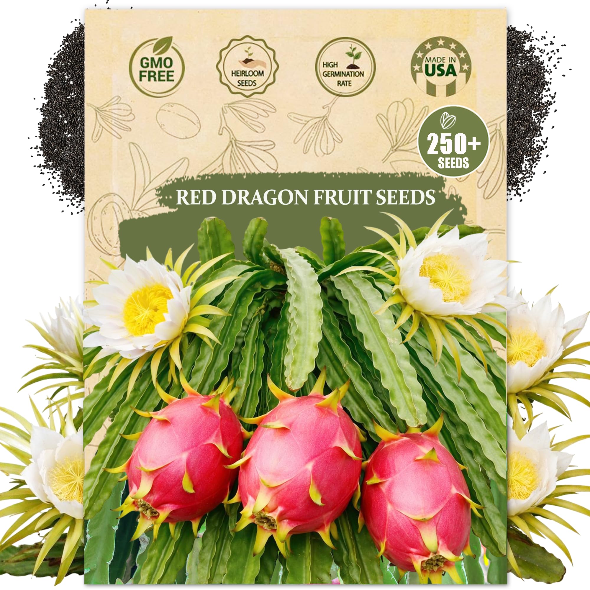 Wily Fox premium dragon fruit seeds packet for easy home planting.