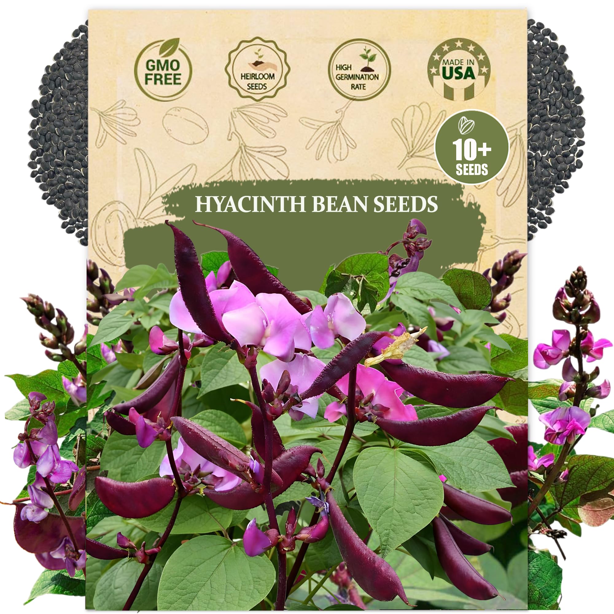 Wily Fox premium hyacinth bean seeds showcase purple bloom for garden color and vertical trellis displays.