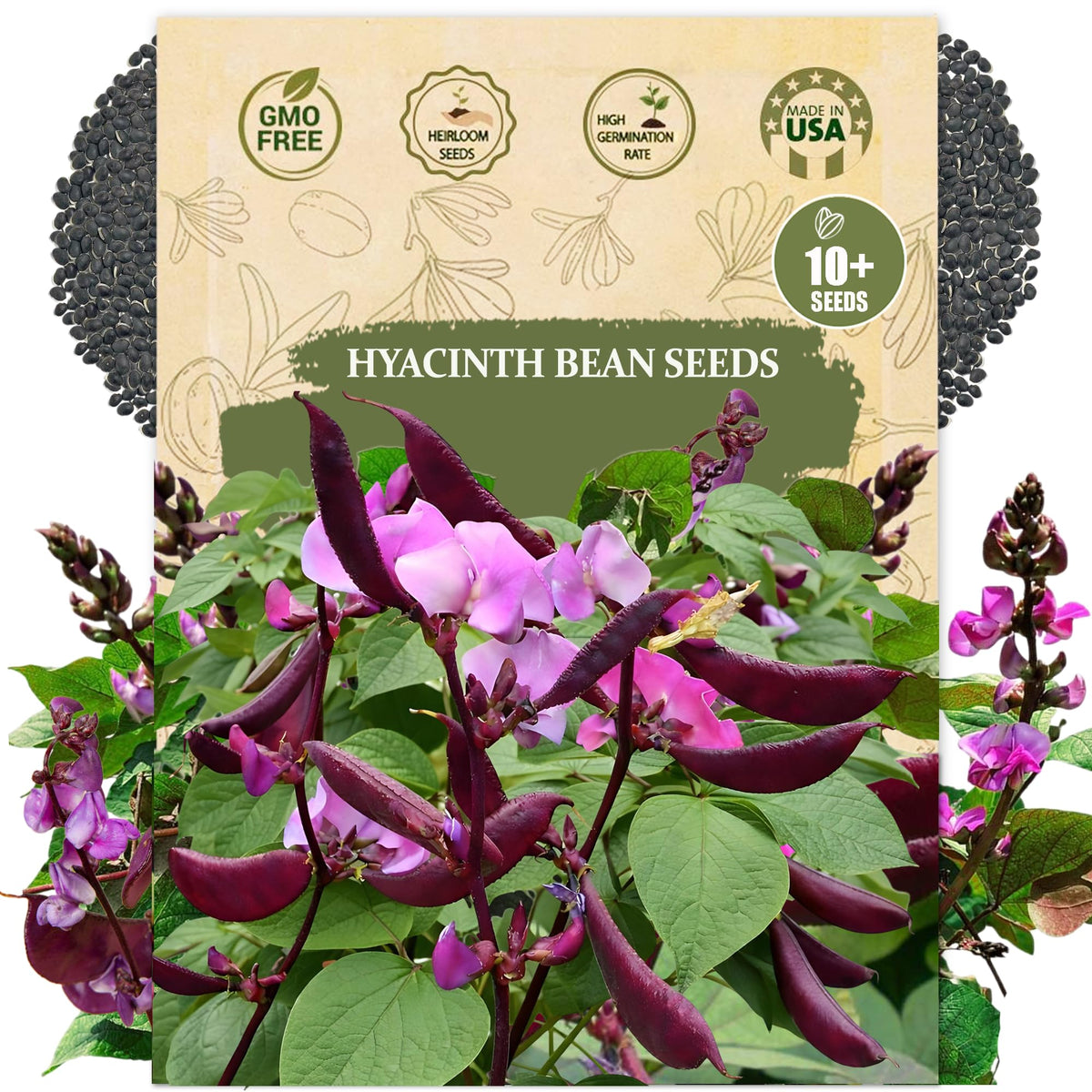 Wily Fox premium hyacinth bean seeds showcase purple bloom for garden color and vertical trellis displays.