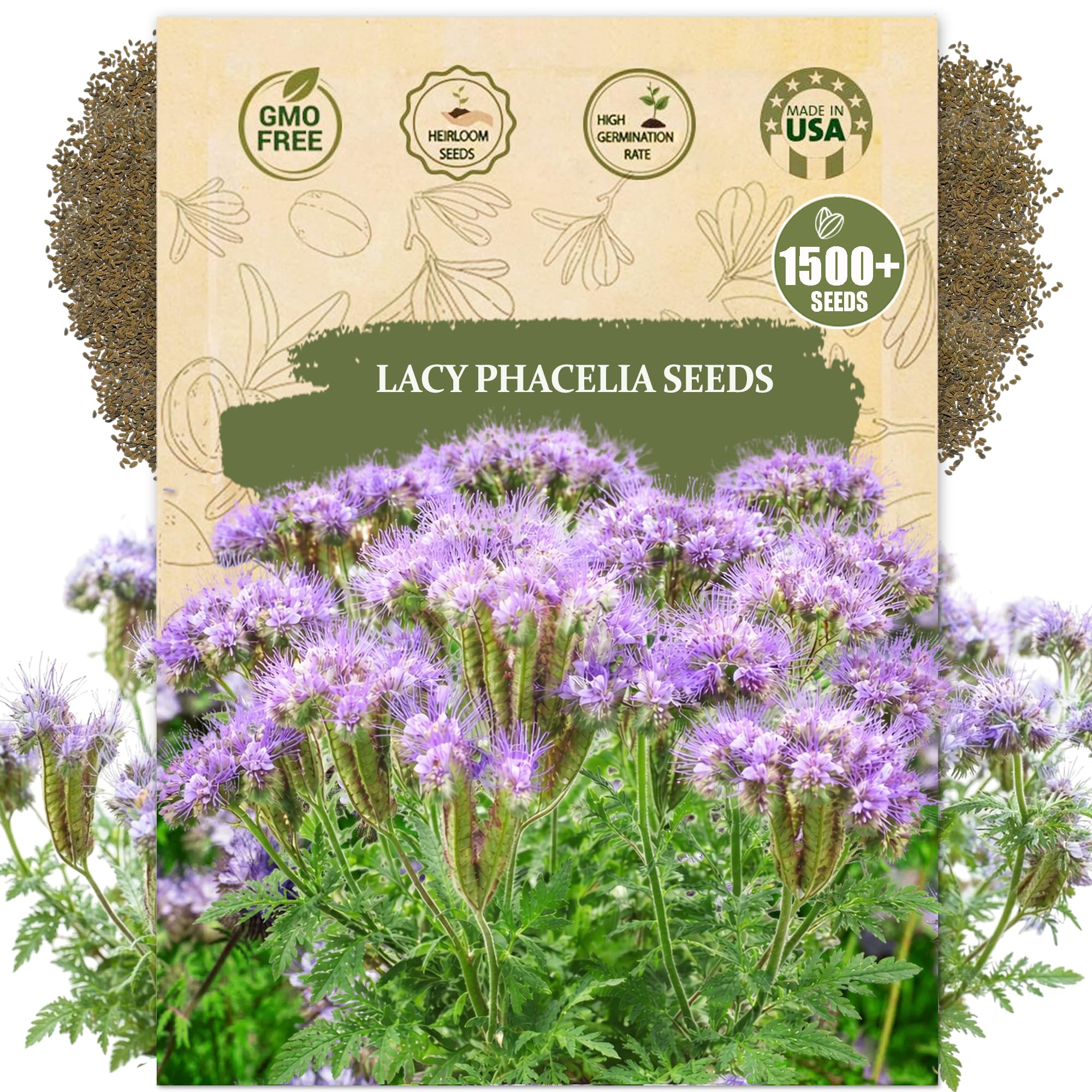 Wily Fox Premium Lacy Phacelia seeds create soft foliage and blue blooms for garden beds.