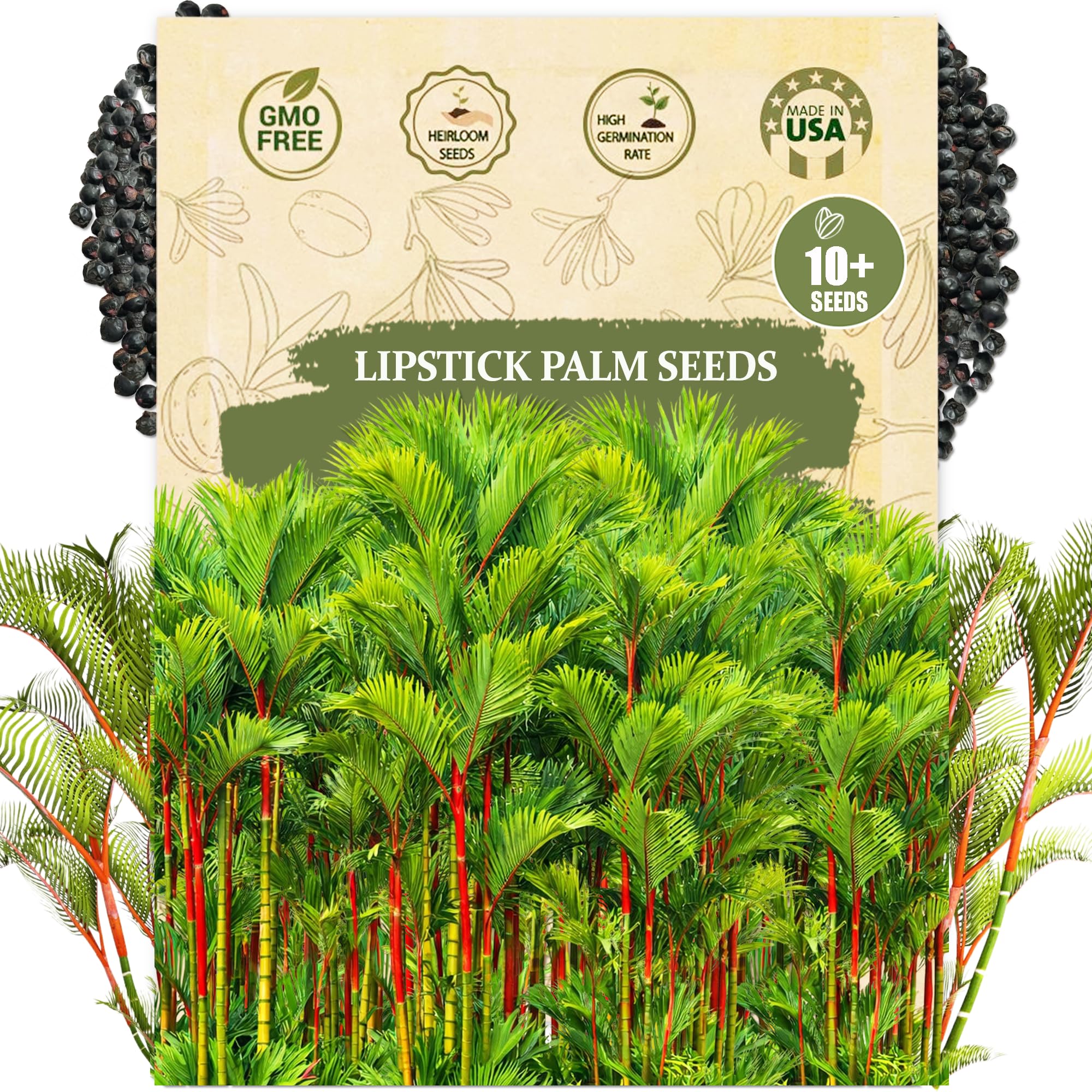 Wily Fox Lipstick Palm seeds pack ready for planting in tropical gardens