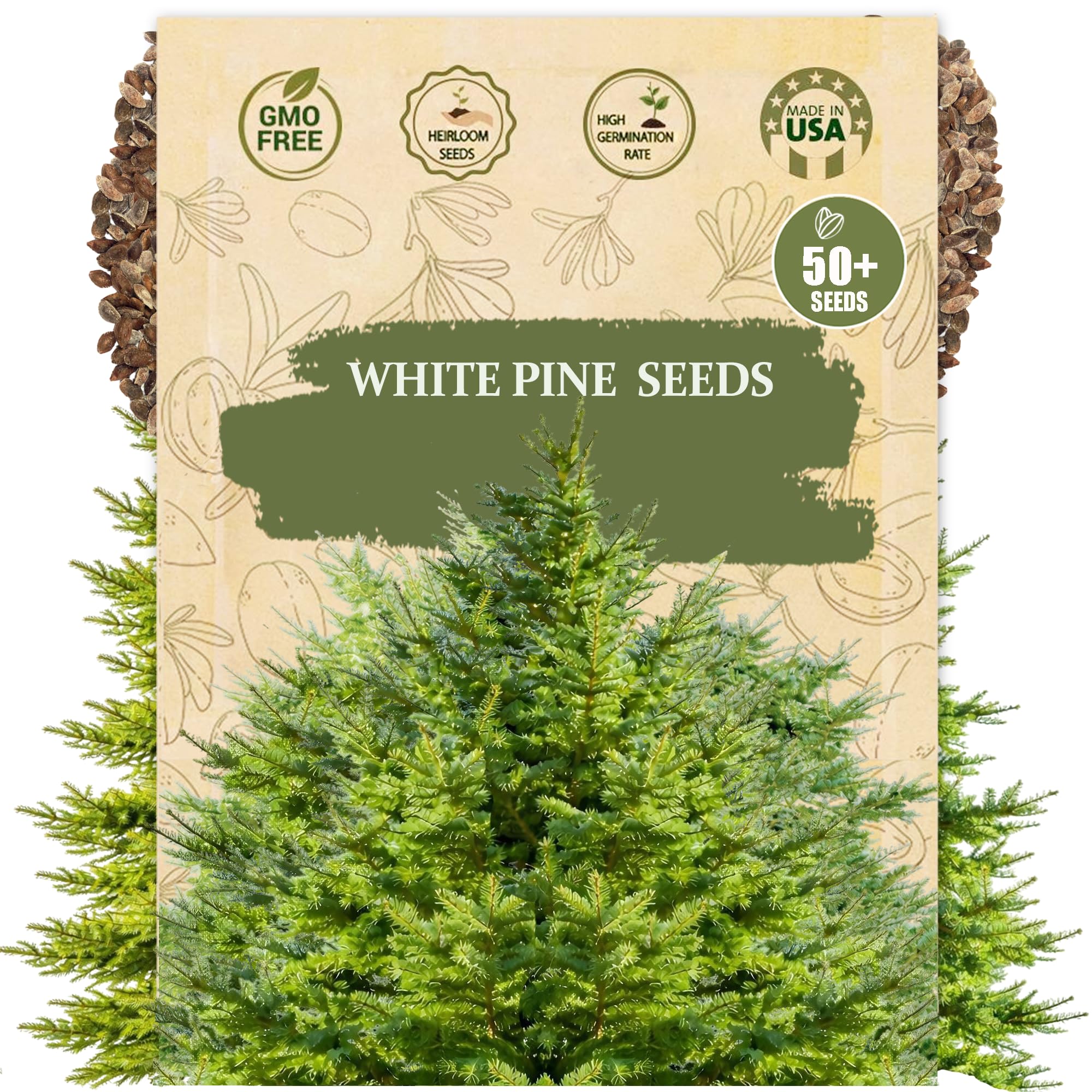 Wily Fox Premium White Pine Seeds pack for starting strong seedlings.