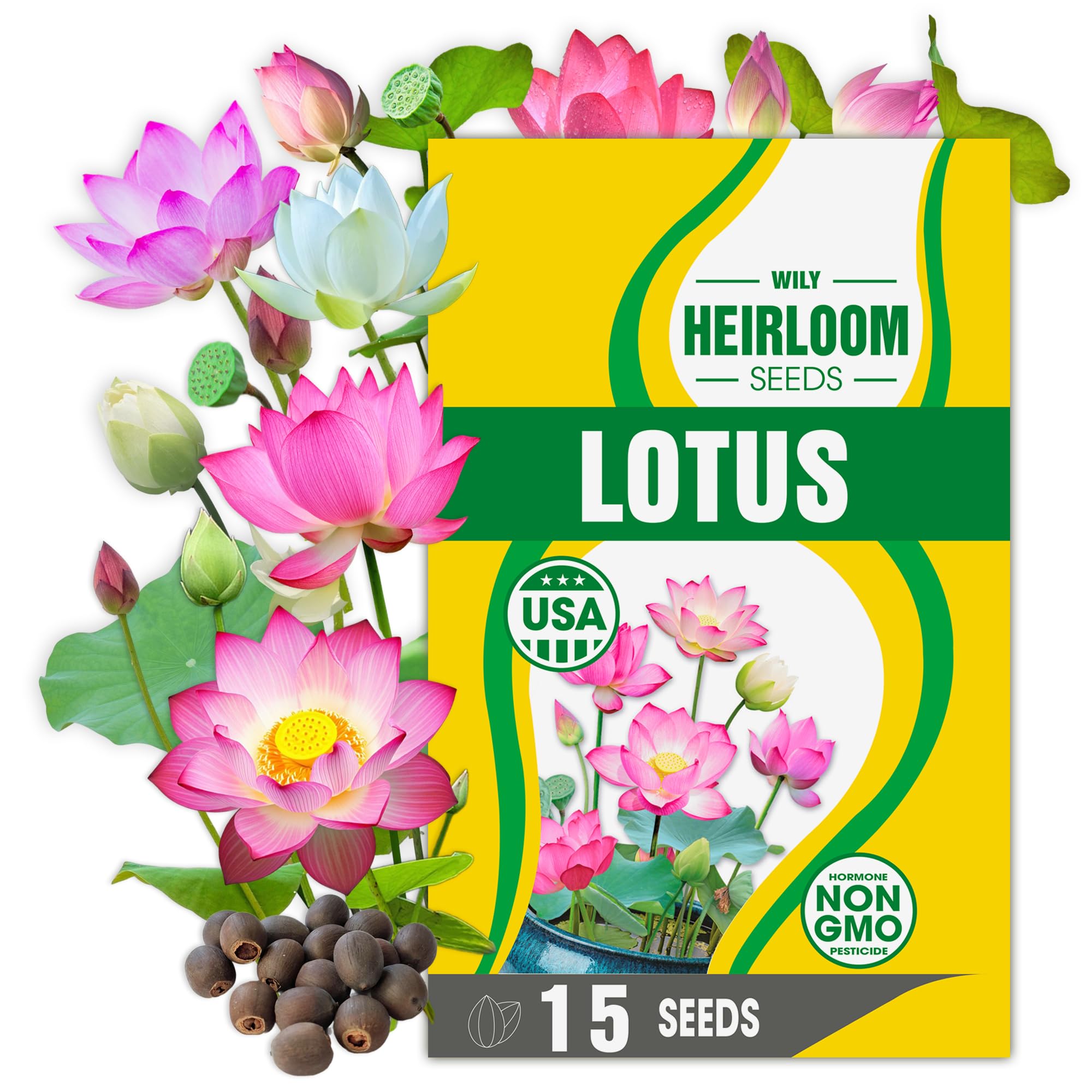 Wily Fox rare lotus seeds pre-cut shells for quick germination