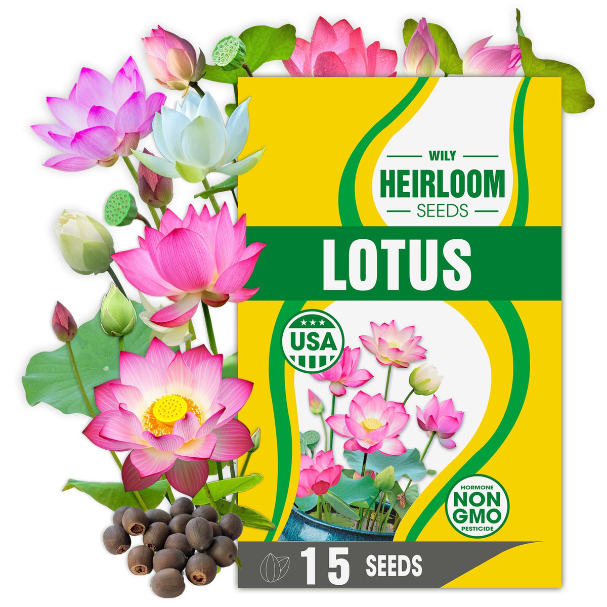 Wily Fox rare lotus seeds pre-cut shells for quick germination