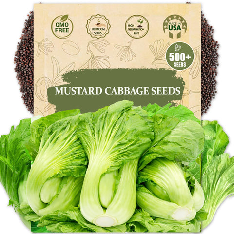 Wily Fox Rare Mustard Seeds pack ready for home garden planting with bold peppery flavor